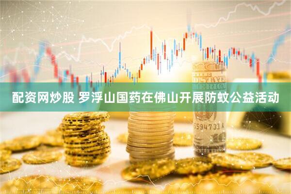 配资网炒股 罗浮山国药在佛山开展防蚊公益活动