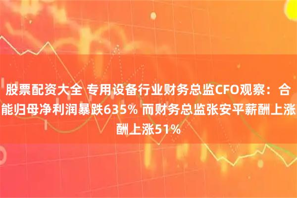 股票配资大全 专用设备行业财务总监CFO观察：合锻智能归母净利润暴跌635% 而财务总监张安平薪酬上涨51%
