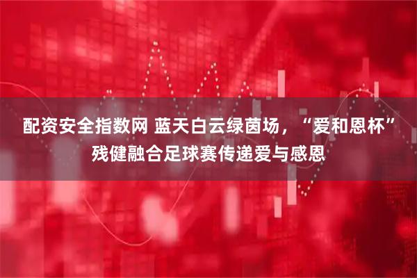 配资安全指数网 蓝天白云绿茵场，“爱和恩杯”残健融合足球赛传递爱与感恩