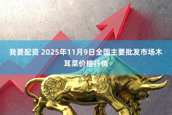 我要配资 2025年11月9日全国主要批发市场木耳菜价格行情